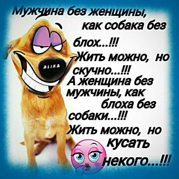 Веселые статусы в картинках