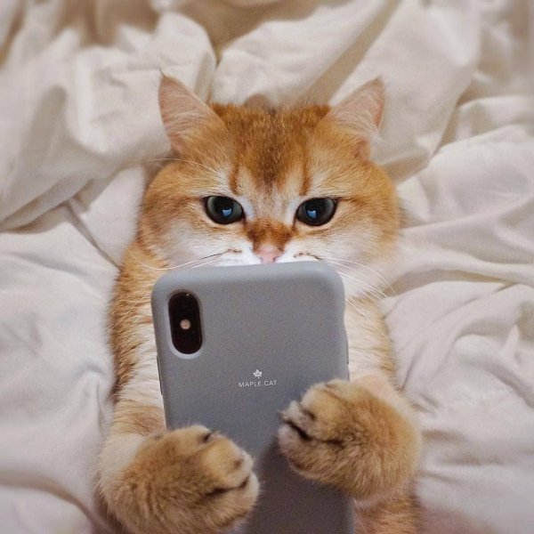 Уутоо начинается с кофе