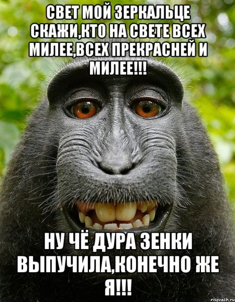 Смешные приколы