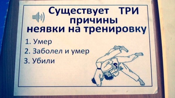Прикольные цитаты про тренировку