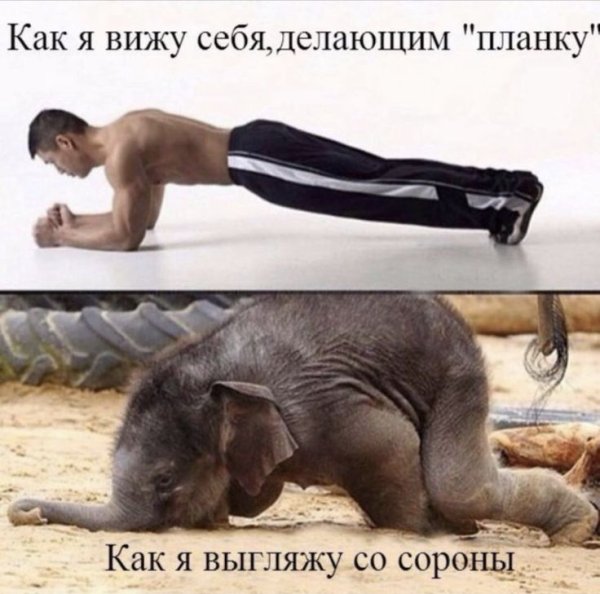 Приколы про планку