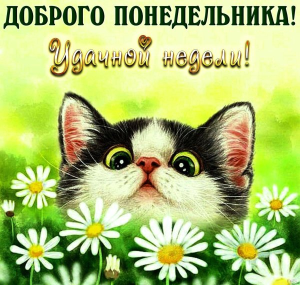 С добрым утром понедельника