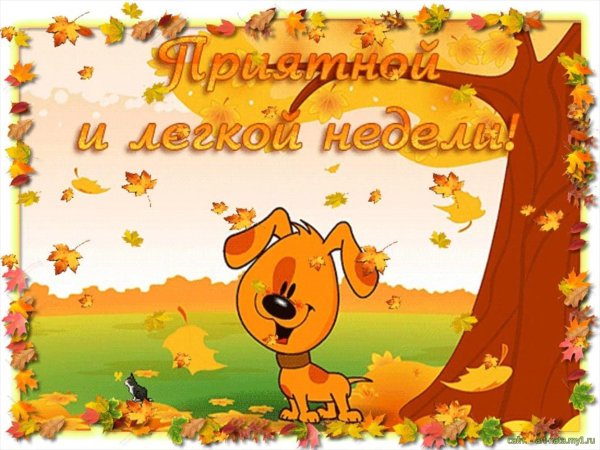 Удачной осенней недели и хорошего настроения