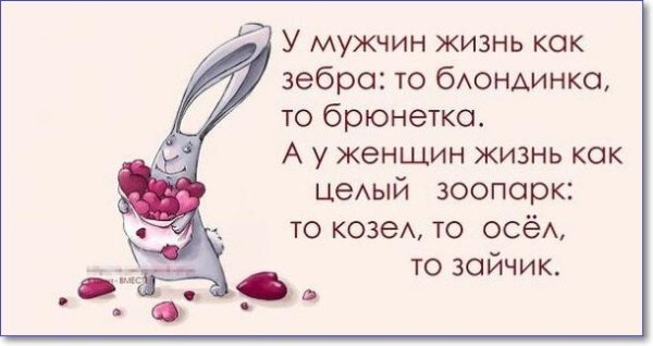 Юмор про жизнь