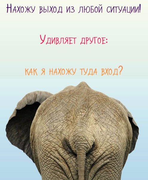 Смешные открытки со смыслом