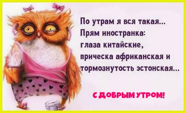 Открытки с добрым утром прикольные