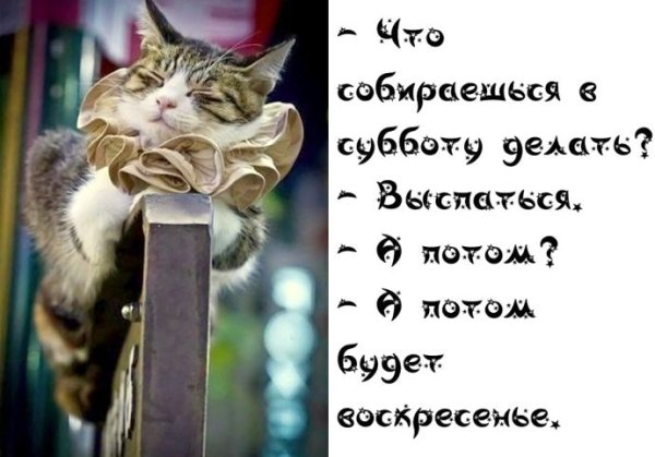 С субботой прикольные