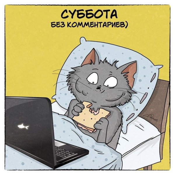 Суббота приколы
