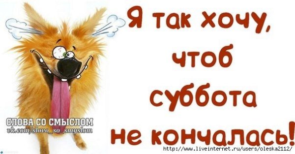 Открытки с субботой прикольные