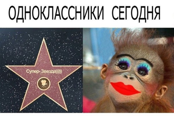 Смешная обезьяна с макияжем