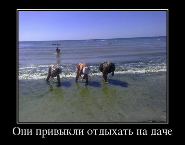 Демотиваторы море отпуск