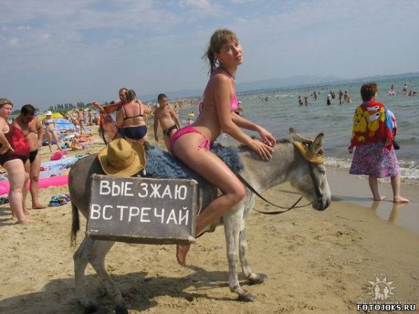 Крым прикольные фото
