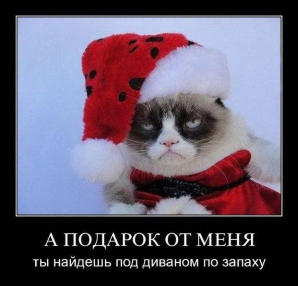 Прикольные новогодние картинки