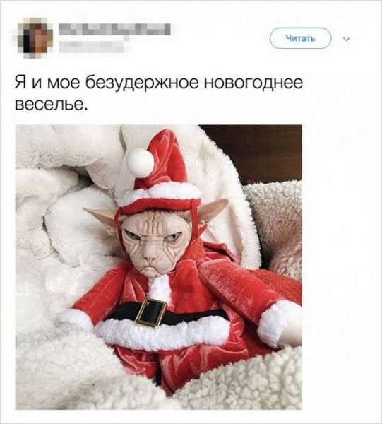 Новогоднее настроение юмор