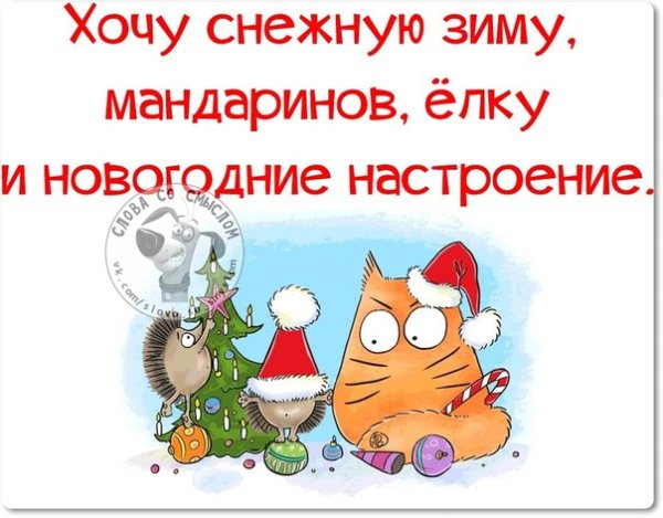 Предновогоднее настроение приколы