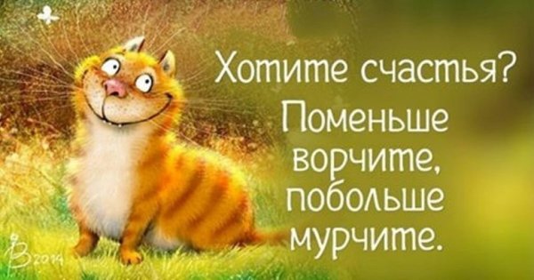Открытки для поднятия настроения