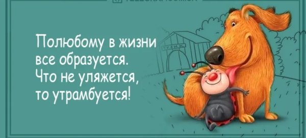 Позитивный настрой на день