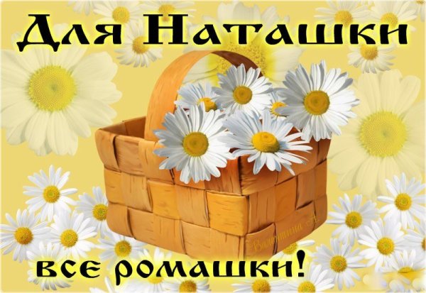 Открытки ромашки для Наташки