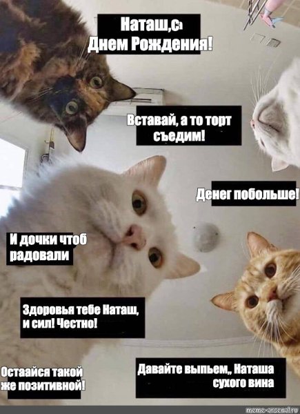 Поздравления с днём Наташа прикольные