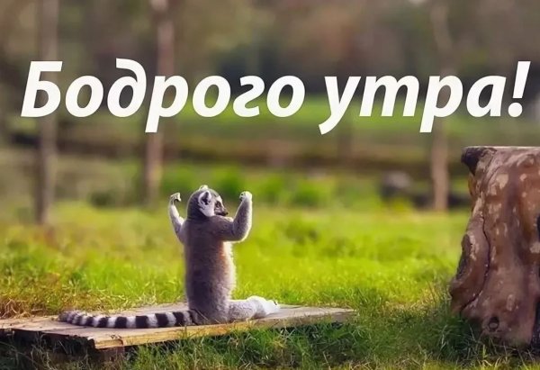 Бодрого доброго утра