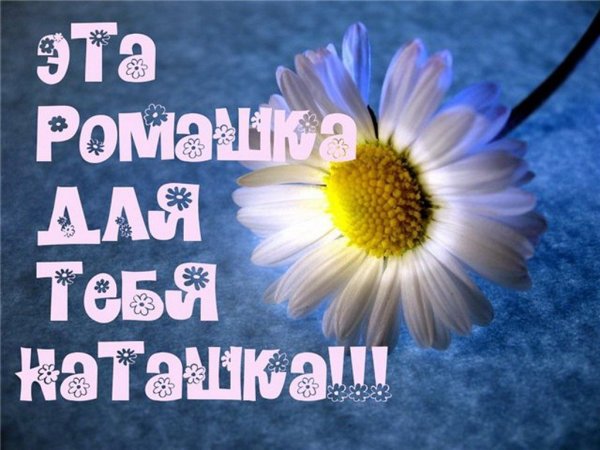 Ромашки для Наташки