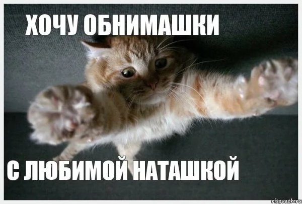 Смешные картинки с обнимашками