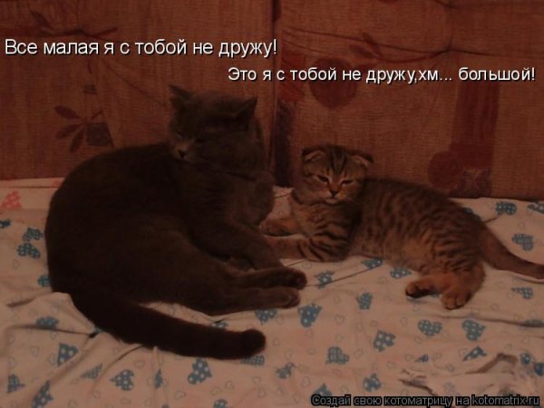 Я С тобой не дружу