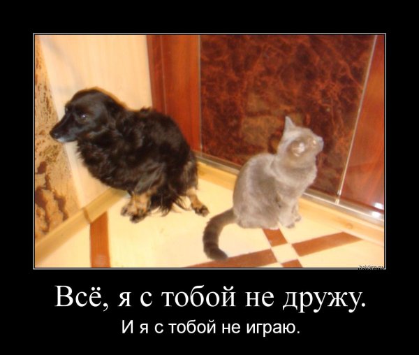 Я С тобой больше не дружу