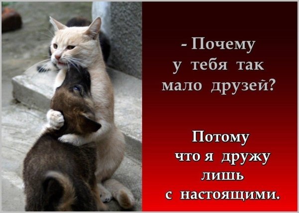 Со мной дружить надо