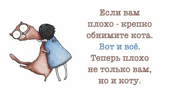 Шуточные фразы для поднятия настроения