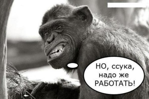 Работаю смешные картинки