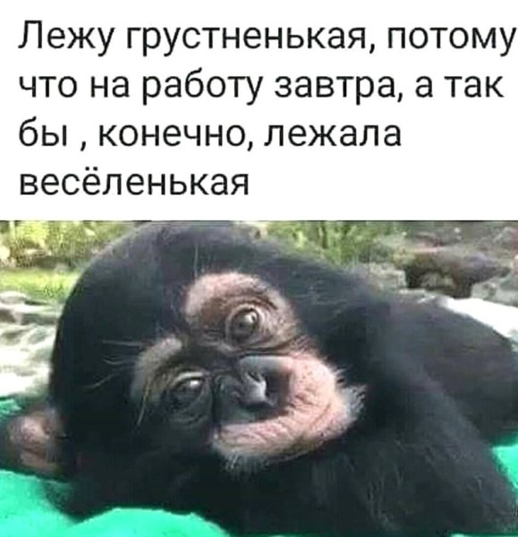 Завтра на работу юмор