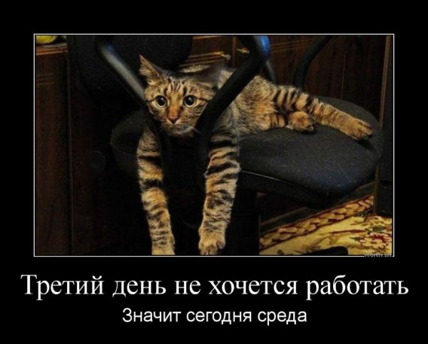 Хочу на работу прикол