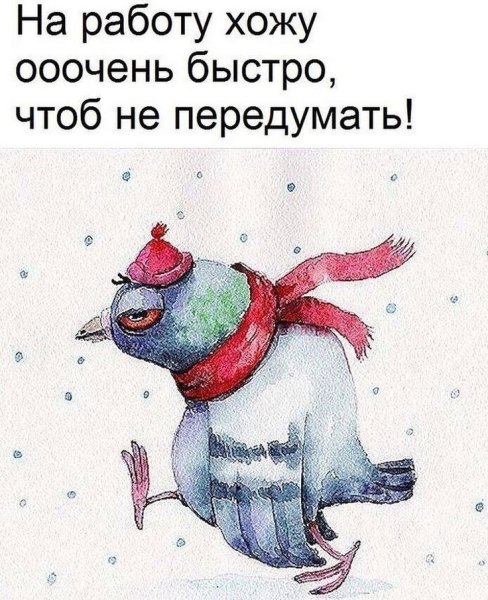 Смешные открытки