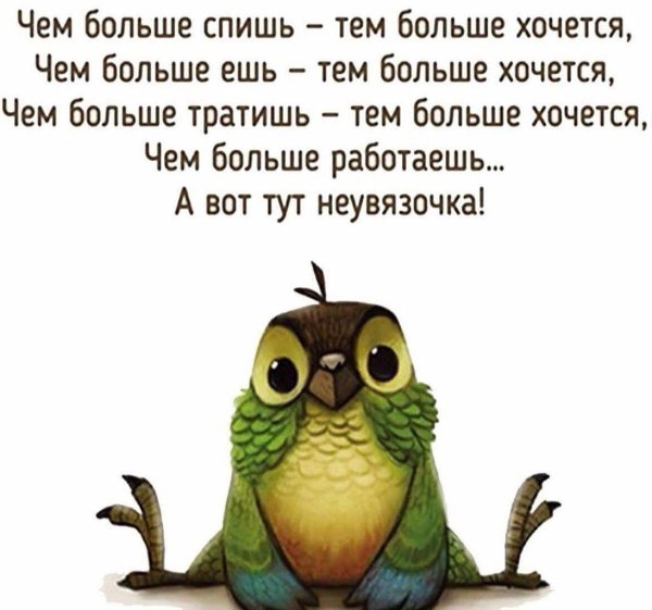 Смешные цитаты