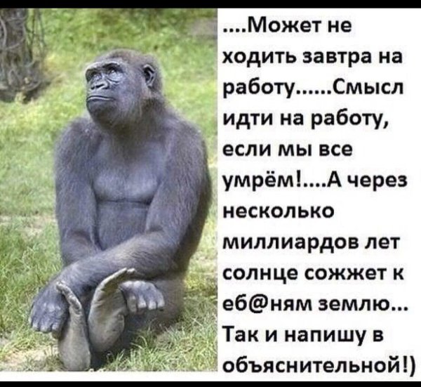 Завтра на работу прикол