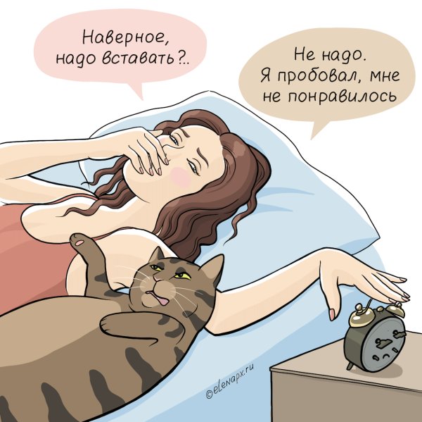 Просыпаемся картинки прикольные