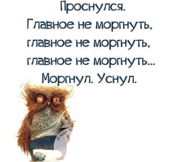 Просыпаемся картинки прикольные