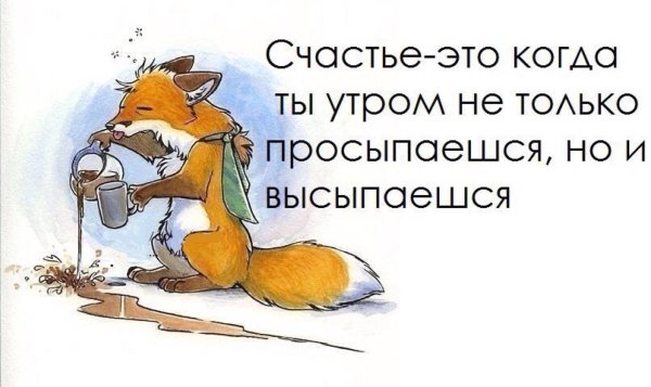 Смешные цитаты с добрым утром