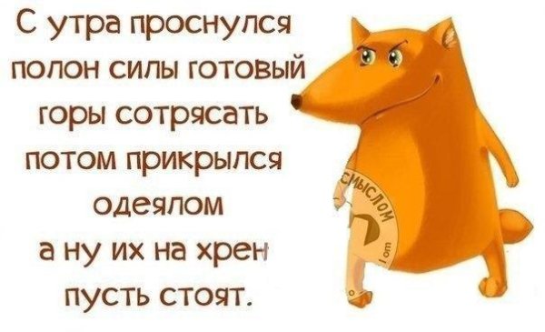 Цитата про 5 утра