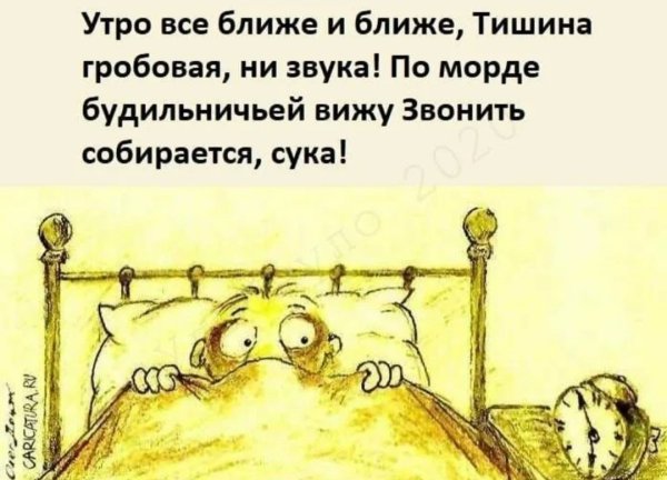 Шутки про утро в картинках