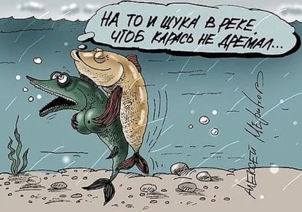 Щука карикатура