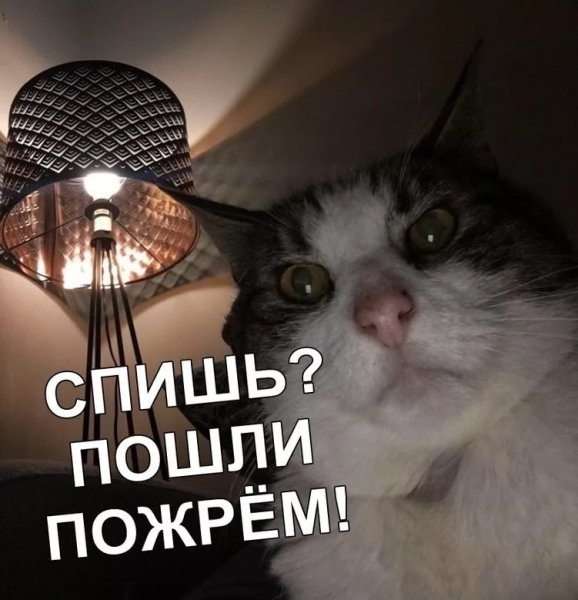 Юмор на ночь
