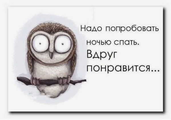 Приколы про сон в картинках