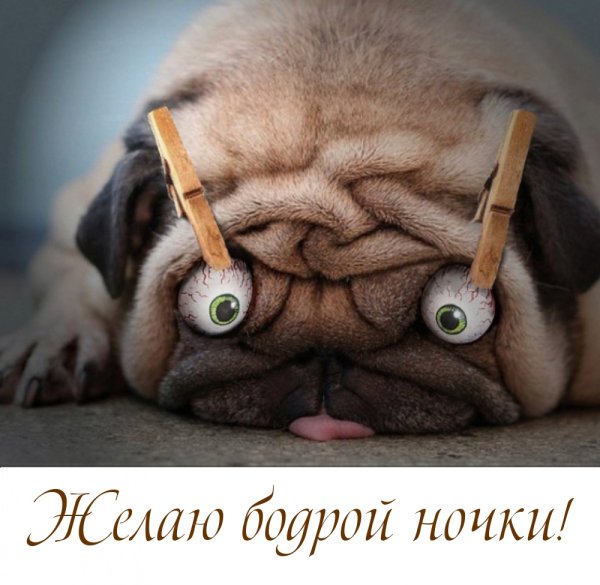 Вчера опять лег спать сегодня