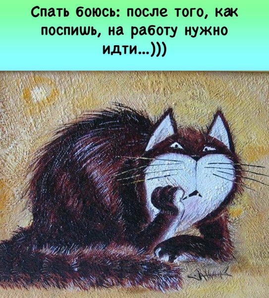 Спать всем прикольные открытки
