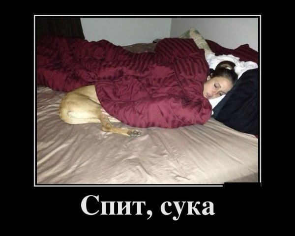 Спать демотиватор