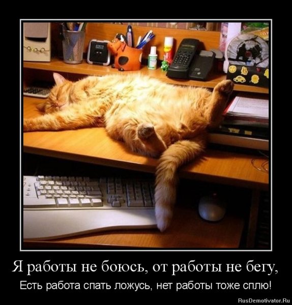 Я на работе картинки