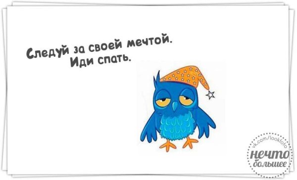 Всем спать картинки прикольные
