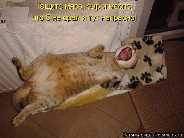 Неохота спать